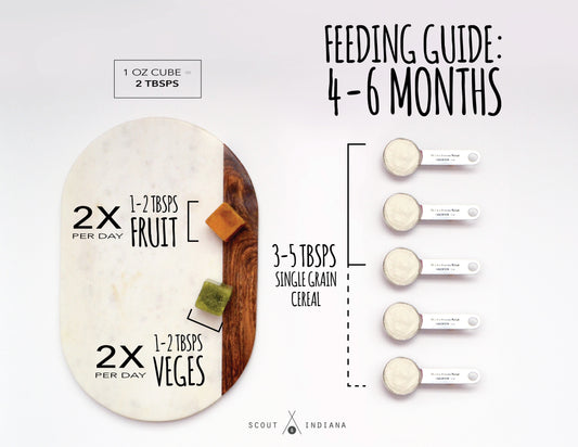 feeding guide: the first year